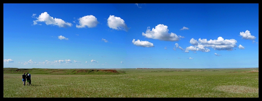 w stepie szerokim... Kazachstan (509mnpm)