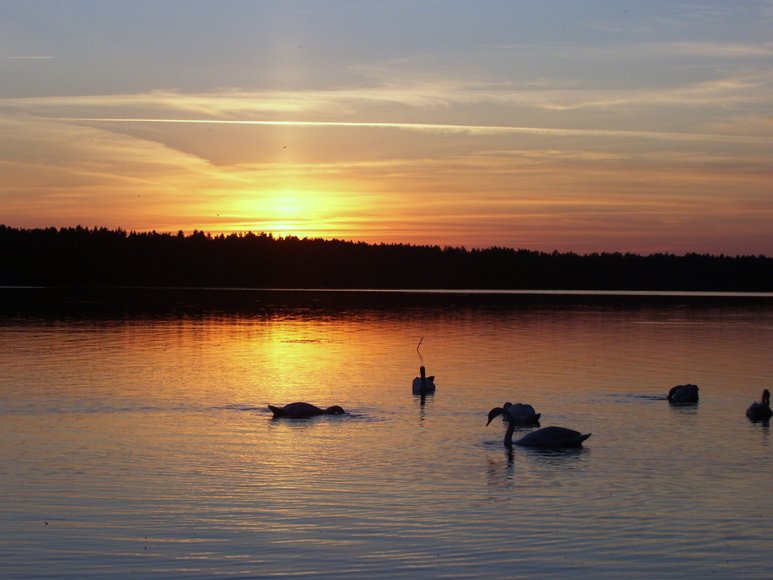 wieczorną porą