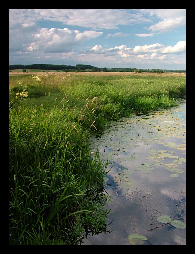 nad Supraślą