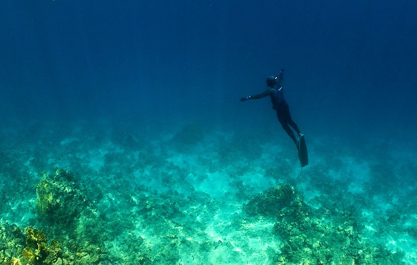 Freediving