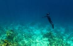 Freediving