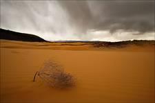 Burza nad Coral Pink Sand Dunes