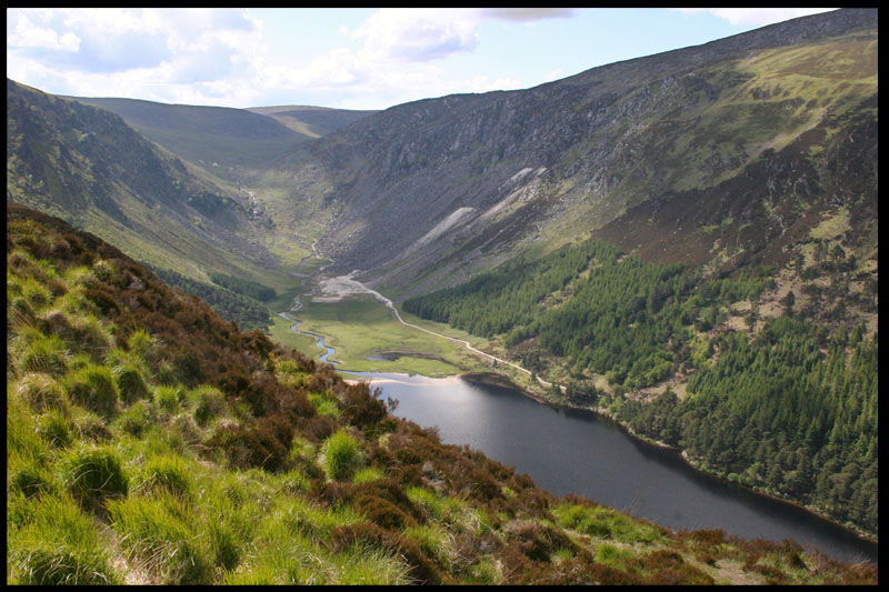 ... Wicklow ...