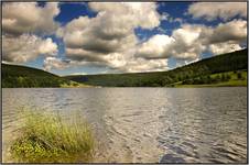 Lady Bower