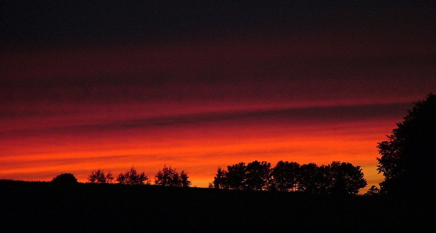 Zdążyłem...