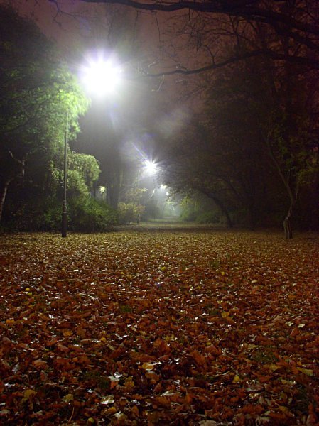 Park nocą