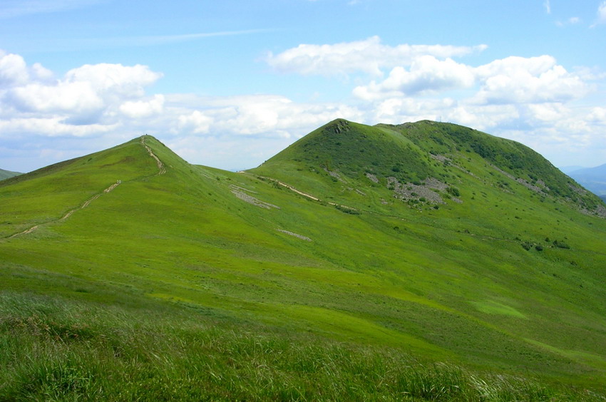 Tarnica