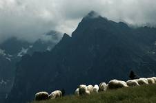 Tatry