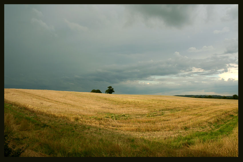 czekajac na burze