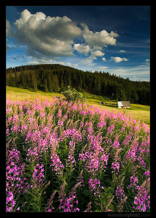 Kolorowy Beskid Żywiecki