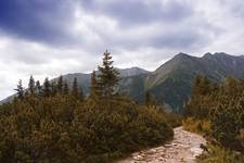 Tatry