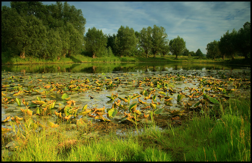 popołudniowa sielanka cd.