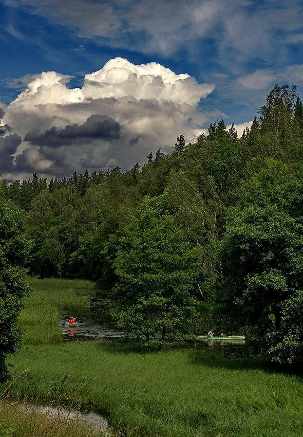 Nad Czarną Hańczą