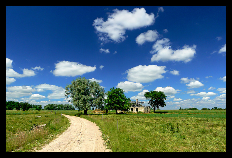 Przydrożny widoczek