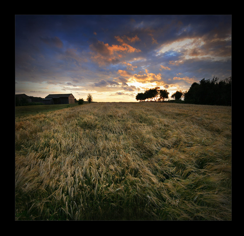 Podlasie wieczorem. Lubię.