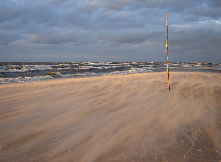 Plaża w Karwii