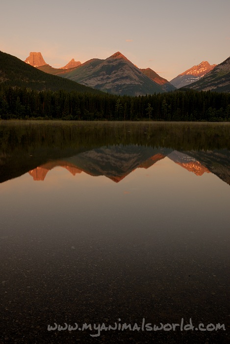 Wedge pond