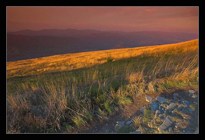 Bieszczady - Połonina Wetlińska