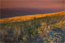 Bieszczady - Połonina Wetlińska