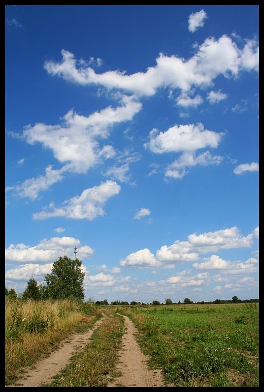 Letnie wędrówki