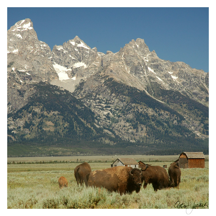 Grand Teton