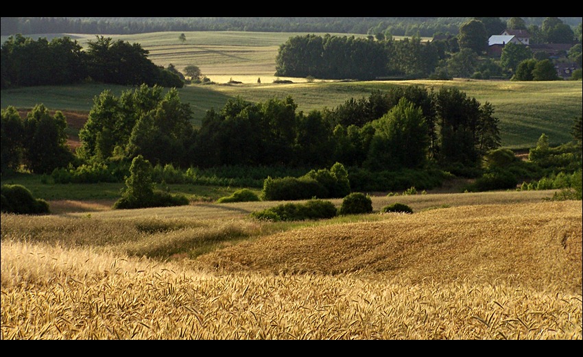 lipiec na Kaszubach