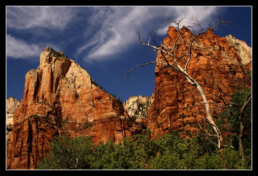 Zion Canyon