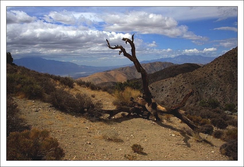 Yoshua Tree National Park, CA