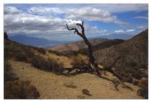 Yoshua Tree National Park, CA