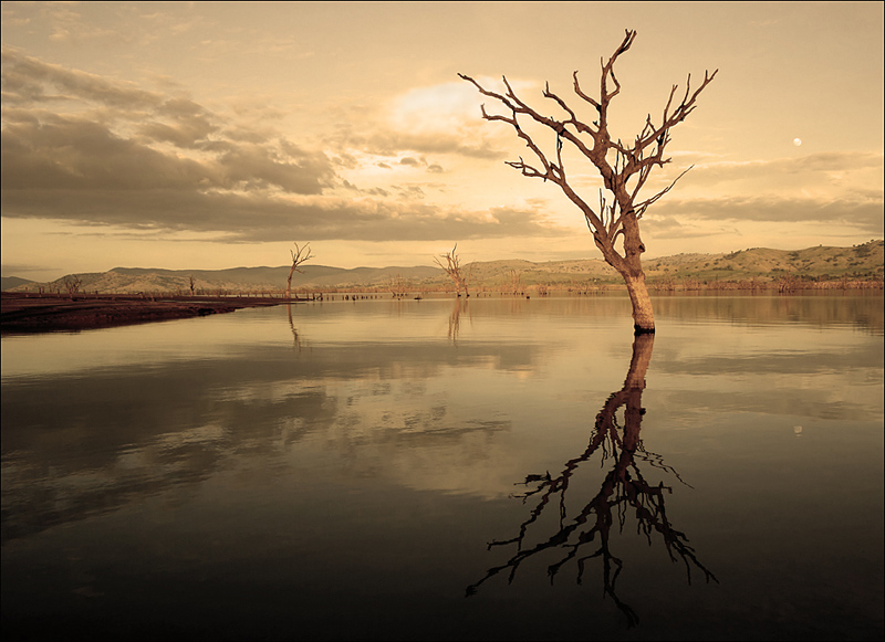 sepia moonrise