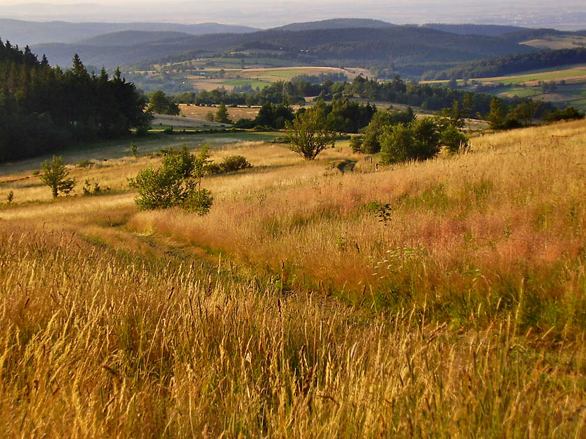 ...lato w Górach Sowich... (2)