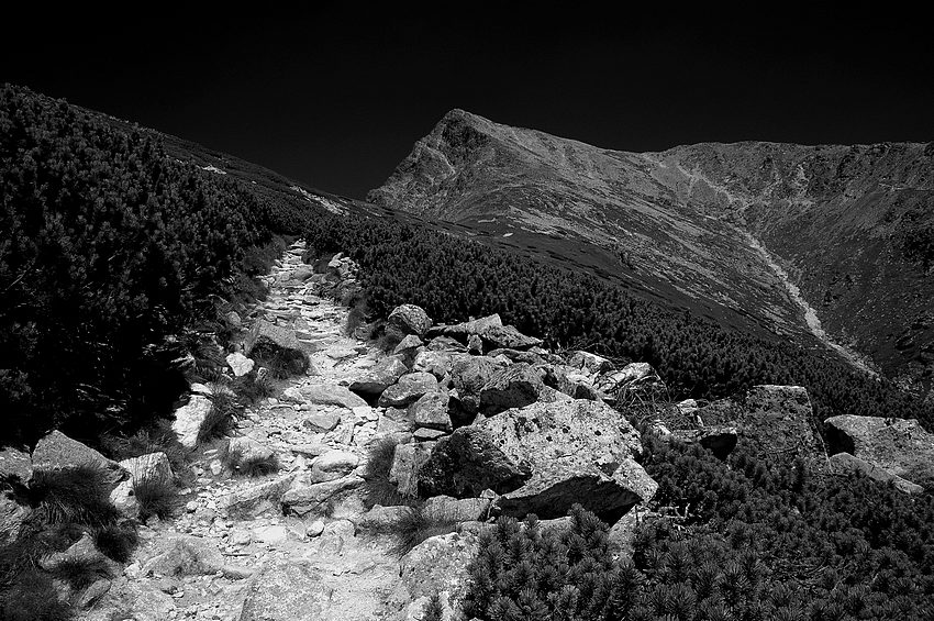 Tatry