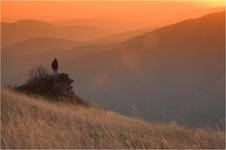 Bieszczady