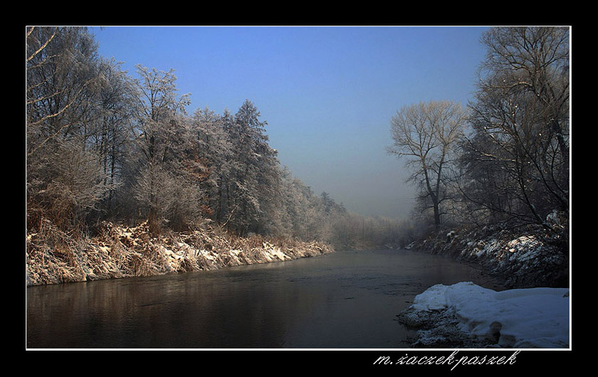 białka