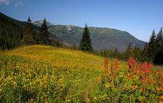 Polana Tomanowa, Tatry Zachodnie