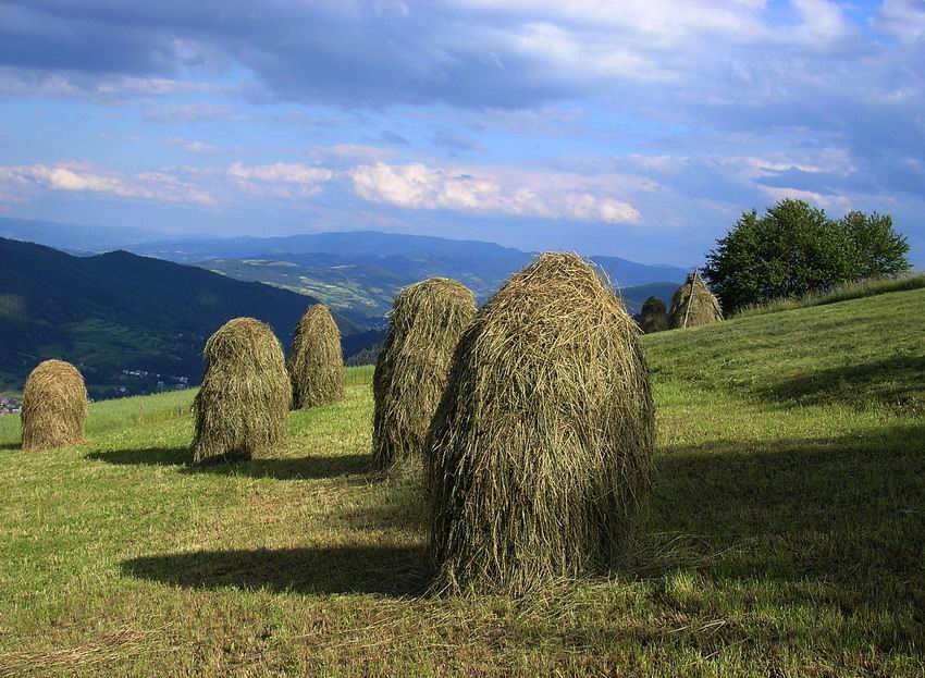 Gorce. Wersja poprawiona ( Dzięki uwadze kolegi Jaro_Ł_T).  Polanki pod Wielkim Wierchem (1007m )