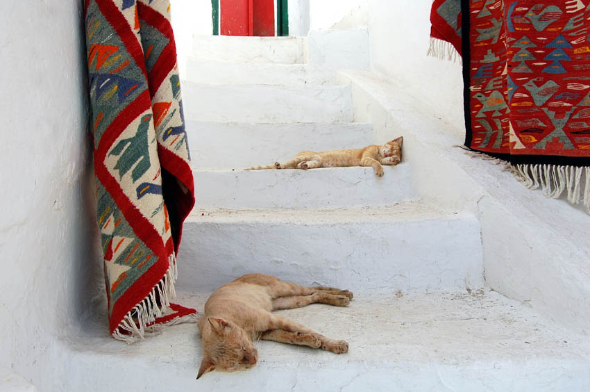 Sidi Bou Said