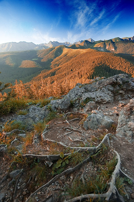 tatry