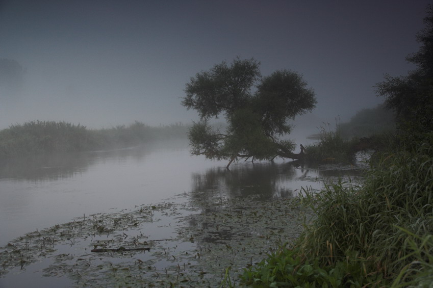 Poranek nad Nidą