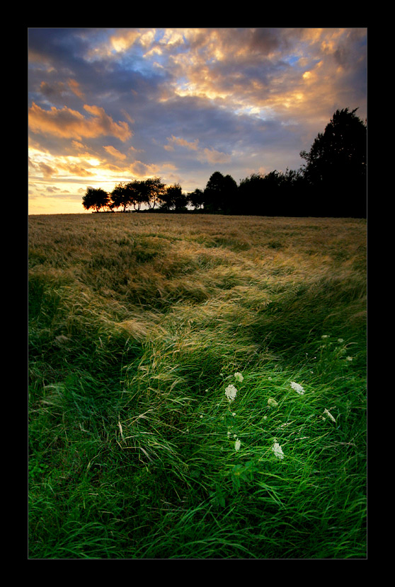 Podlasie wieczorem. Lubię... (2)