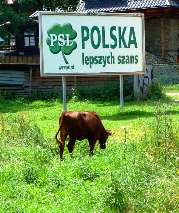 Polska lepszych szans