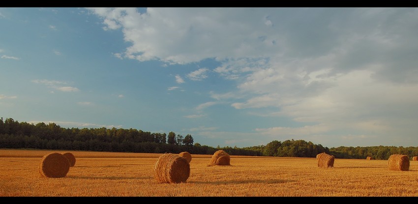 Zdążyć przed burzą