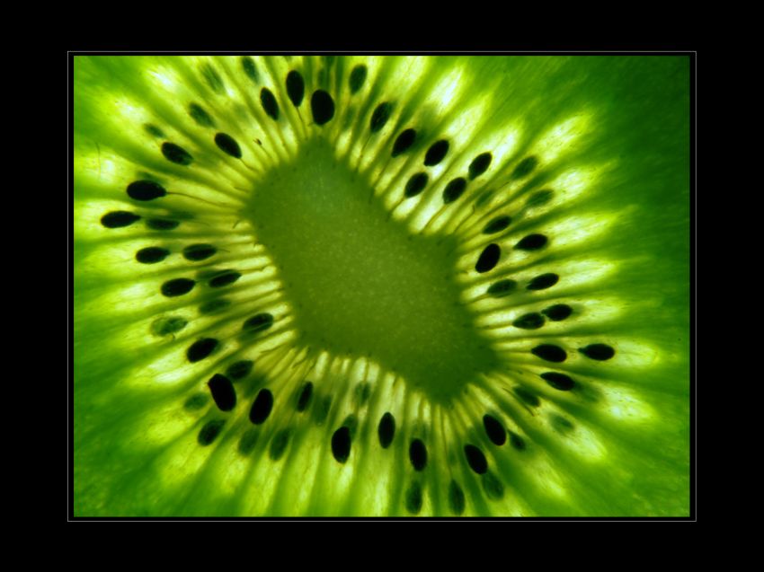 kiwi