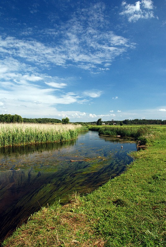 Czarna Hańcza