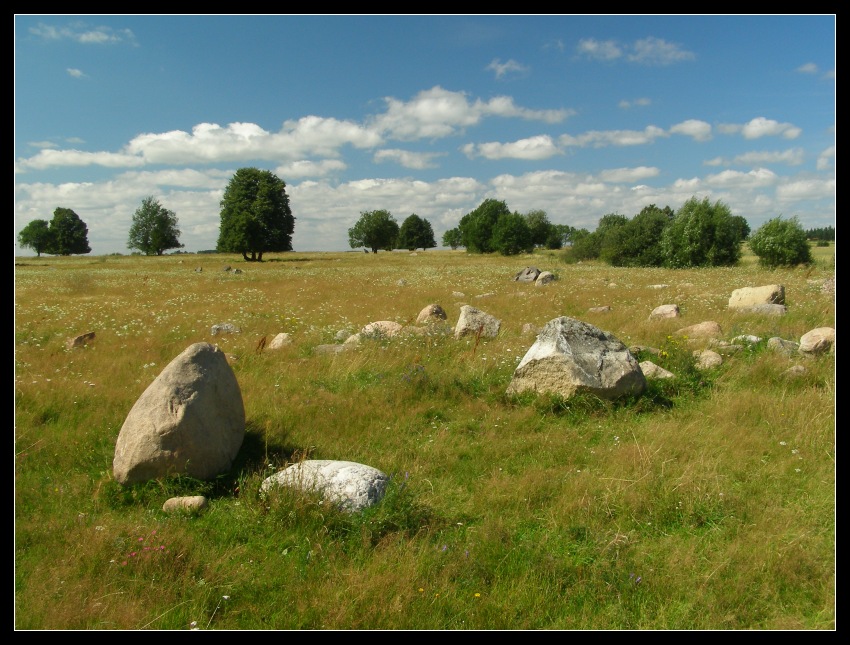 Rezerwat Rutka