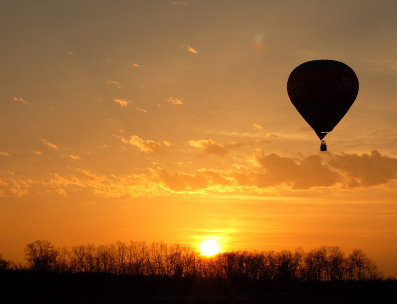 Fly in the sun...