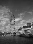 The London Eye