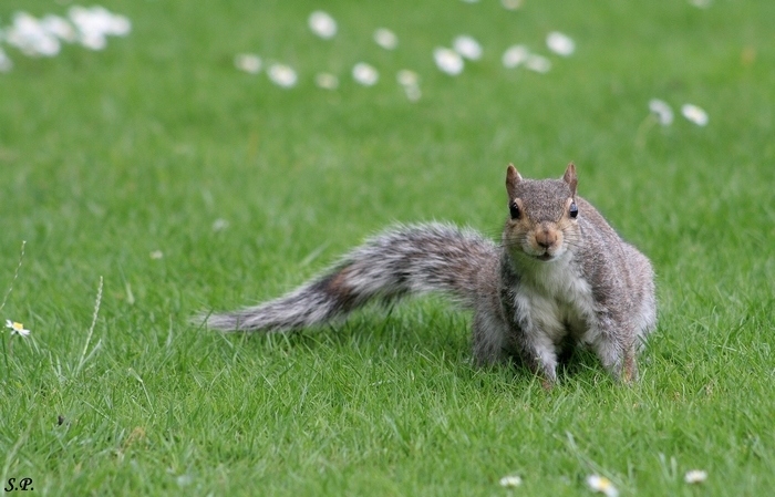 Abbey Park