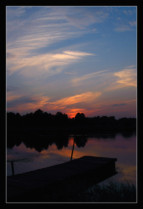 Narew