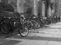 bicycles